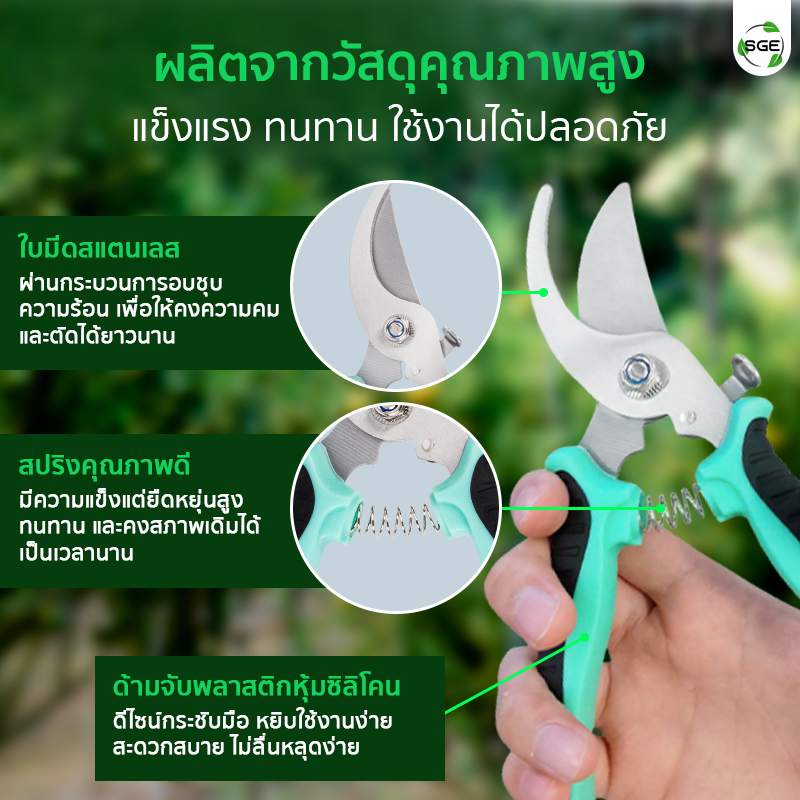 กรรไกรตัดกิ่ง กรรไกรตัดแต่งกิ่ง แบบปากโค้ง ผลิตจากวัสดุคุณภาพสูง แข็งแรง ทนทาน ใช้งานได้ปลอดภัย