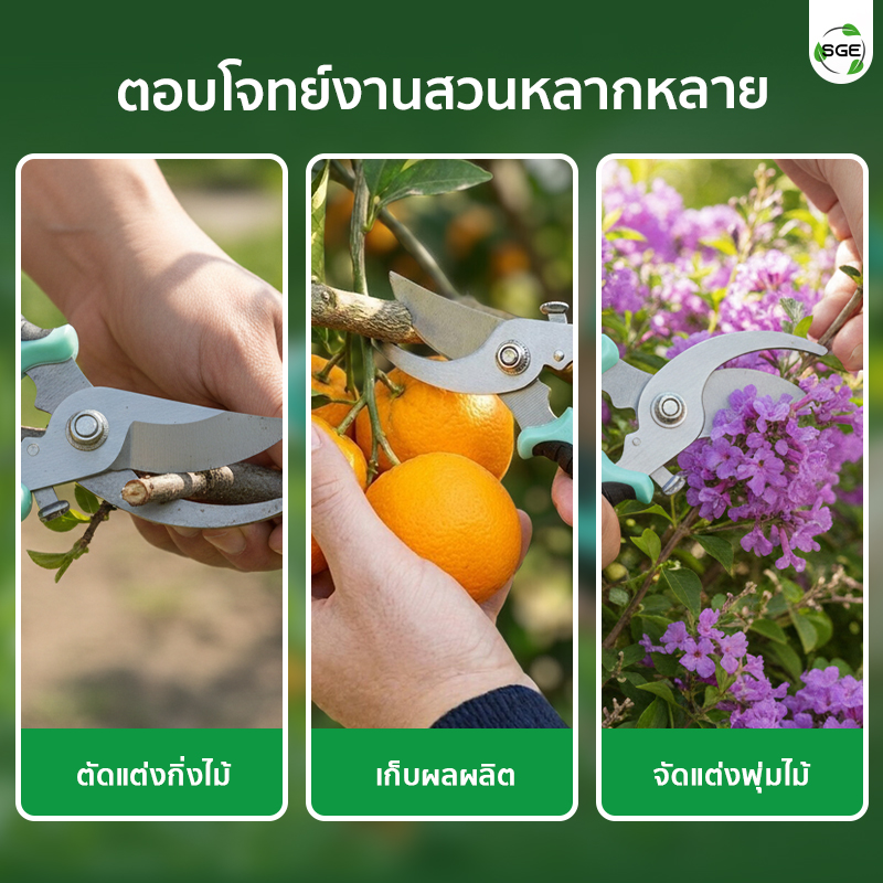 กรรไกรตัดกิ่ง กรรไกรตัดแต่งกิ่ง แบบปากโค้ง ตอบโจทย์งานสวนหลากหลาย