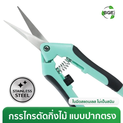 กรรไกรตัดกิ่ง กรรไกรตัดกิ่งปากตรง ปลายแหลม ขนาด 6.5 นิ้ว