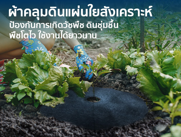 ผ้าคลุมดินแผ่นใยสังเคราะห์