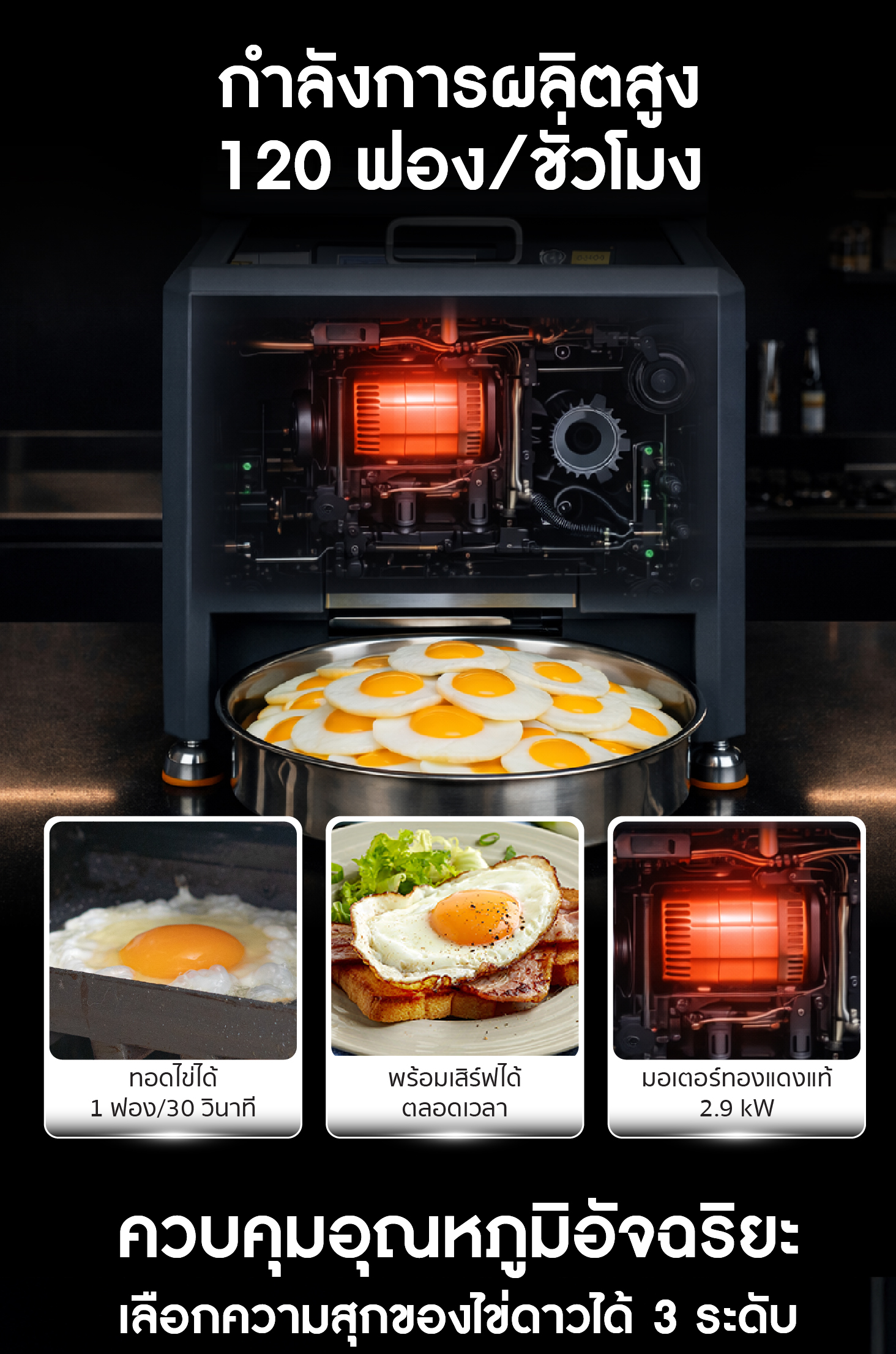 เครื่องทอดไข่ดาวอัตโนมัติ กำลังผลิตสูง