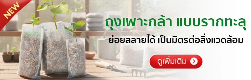 ถุงเพาะกล้า ถุงเพาะสปันบอนด์ แบบรากทะลุ ของSGE