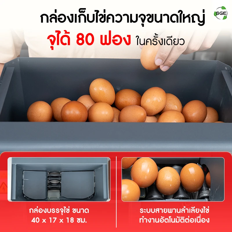 เครื่องทอดไข่ดาวอัตโนมัติมีกล่องเก็บไข่ขนาดใหญ่