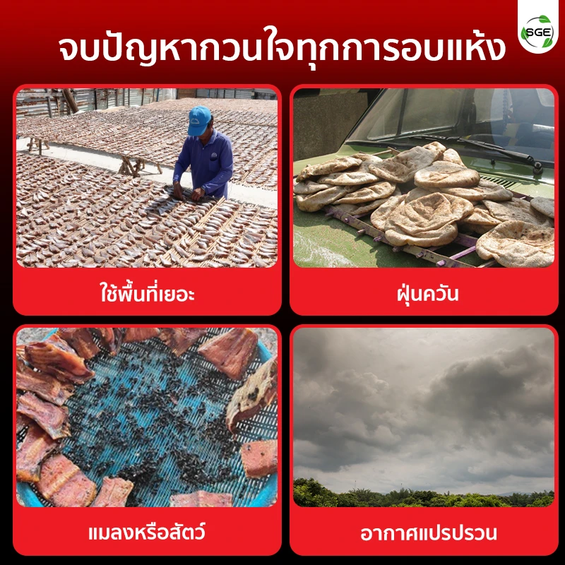 จบทุกปัญหากวนใจการอบแห้ง ด้วย ตู้อบลมร้อน เครื่องอบแห้งลมร้อน รุ่น DryMaster 14 ถาด