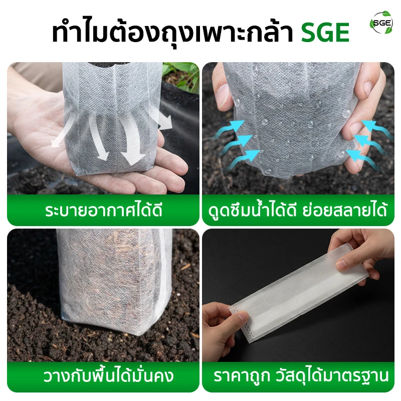 ทำไมต้องถุงเพาะกล้า ถุงเพาะสปันบอนด์ แบบรากทะลุ ของSGE
