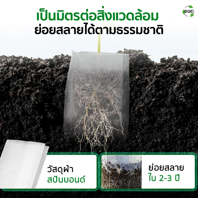 ถุงเพาะกล้า ถุงเพาะสปันบอนด์ แบบรากทะลุ ของSGE เป็นมิตรต่อสิ่งแวดล้อม