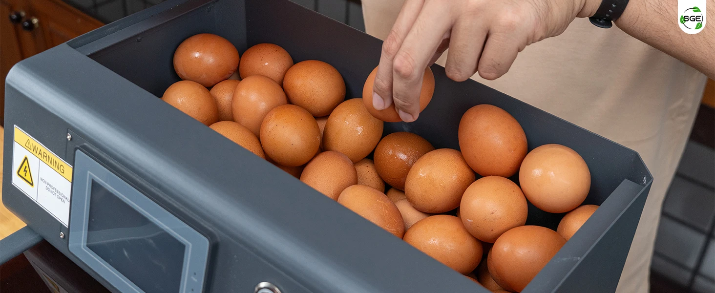 ภาพถ่ายสินค้าจริง เครื่องทอดไข่ดาวอัตโนมัติ