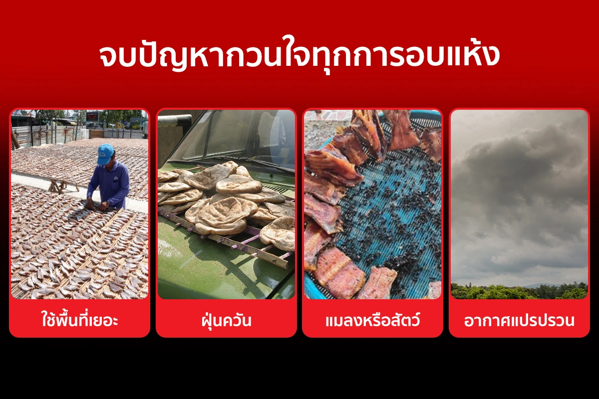 ตู้อบลมร้อน เครื่องอบแห้งลมร้อน รุ่น DryMaster 14 ถาด ช่วยจบทุกปัญหากวนใจการอบแห้ง