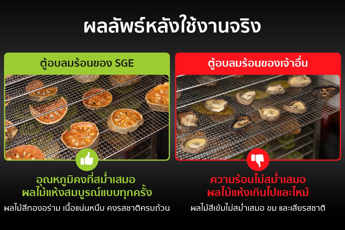 ผลลัพธ์หลังการใช้งาน ตู้อบลมร้อน เครื่องอบแห้งลมร้อน รุ่น DryMaster 14 ถาด