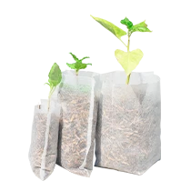 ถุงเพาะกล้า ถุงเพาะสปันบอนด์ แบบรากทะลุ ของSGE