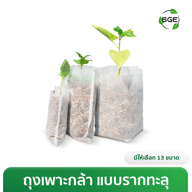 ถุงเพาะกล้า ถุงเพาะสปันบอนด์ แบบรากทะลุ ของSGE มีให้เลือกถึง 13 ขนาด