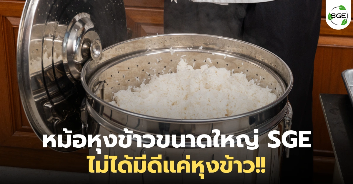 รวมเมนูที่ทำได้ด้วย หม้อหุงข้าวขนาดใหญ่ SGE ไม่ได้มีดีแค่หุงข้าว!!
