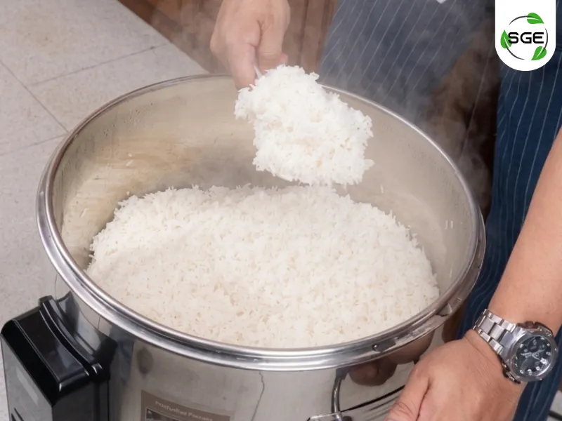 วิธีหุงข้าวหอมมะลิ วิธีหุงข้าวหอมมะลิ