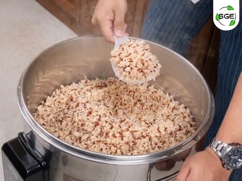 วิธีหุงข้าวกล้อง วิธีหุงข้าวกล้อง