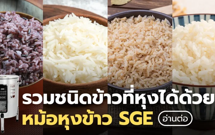 หม้อหุงข้าวอัตโนมัติ หุงข้าวได้กี่ชนิด? พร้อมวิธีหุงแบบหมดเปลือก
