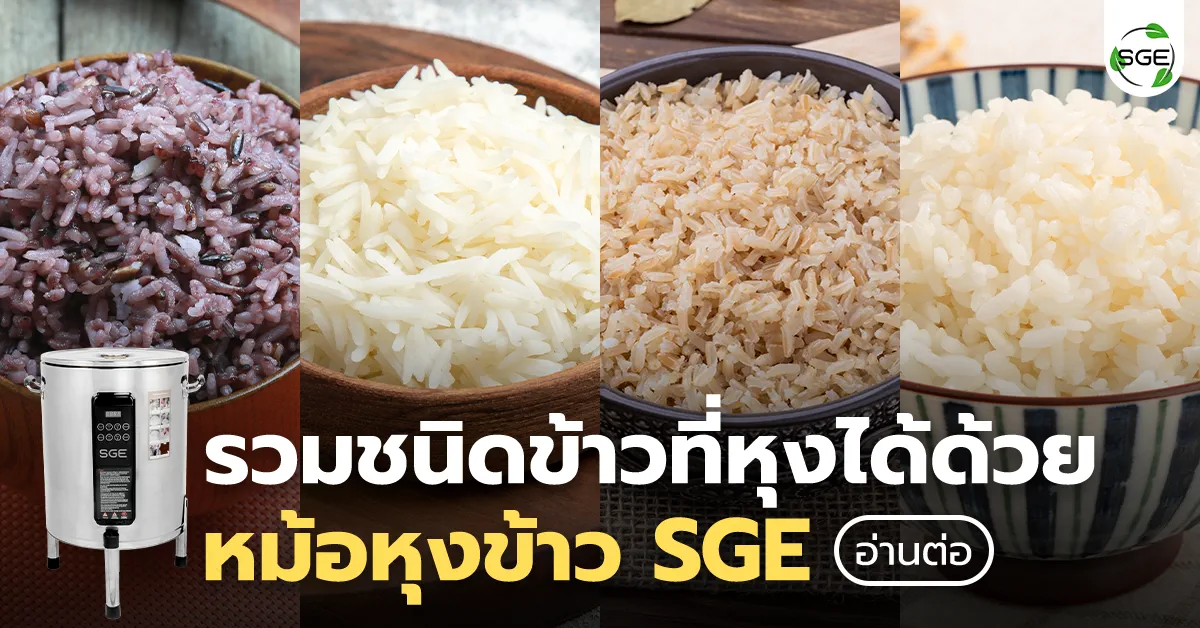 หม้อหุงข้าวอัตโนมัติ หุงข้าวได้กี่ชนิด? พร้อมวิธีหุงแบบหมดเปลือก