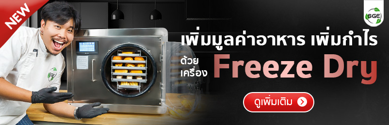 Banner-Hightligh-FD-ECO