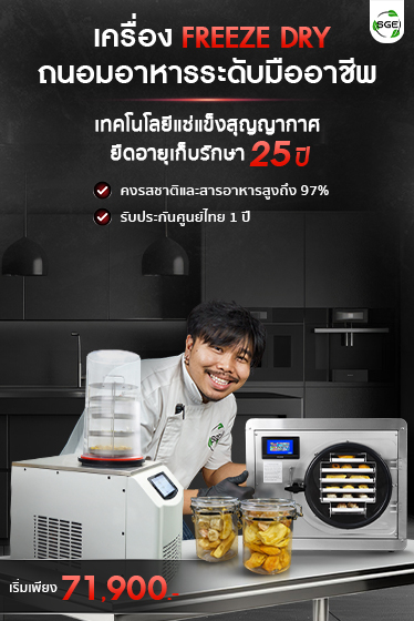 เครื่องฟรีซดราย เครื่องแช่แข็งสูญญากาศ