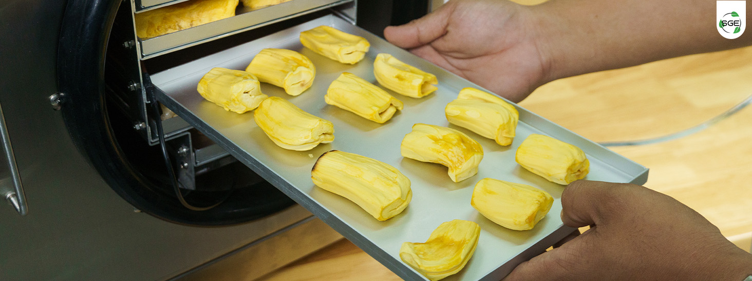 ภาพถ่ายสินค้าจริง ถาดใส่วัตถุดิบ ของ เครื่องฟรีซดรายสุญญากาศ