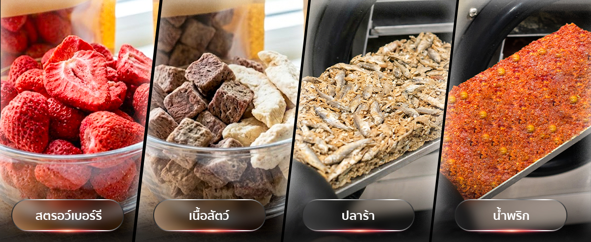 สตรอว์เบอร์รี เนื้อสัตว์ ปลาร้า น้ำพริก เครื่องฟรีซดราย