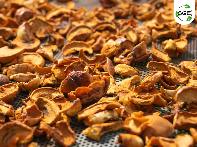 การถนอมอาหารโดยการตากแห้ง