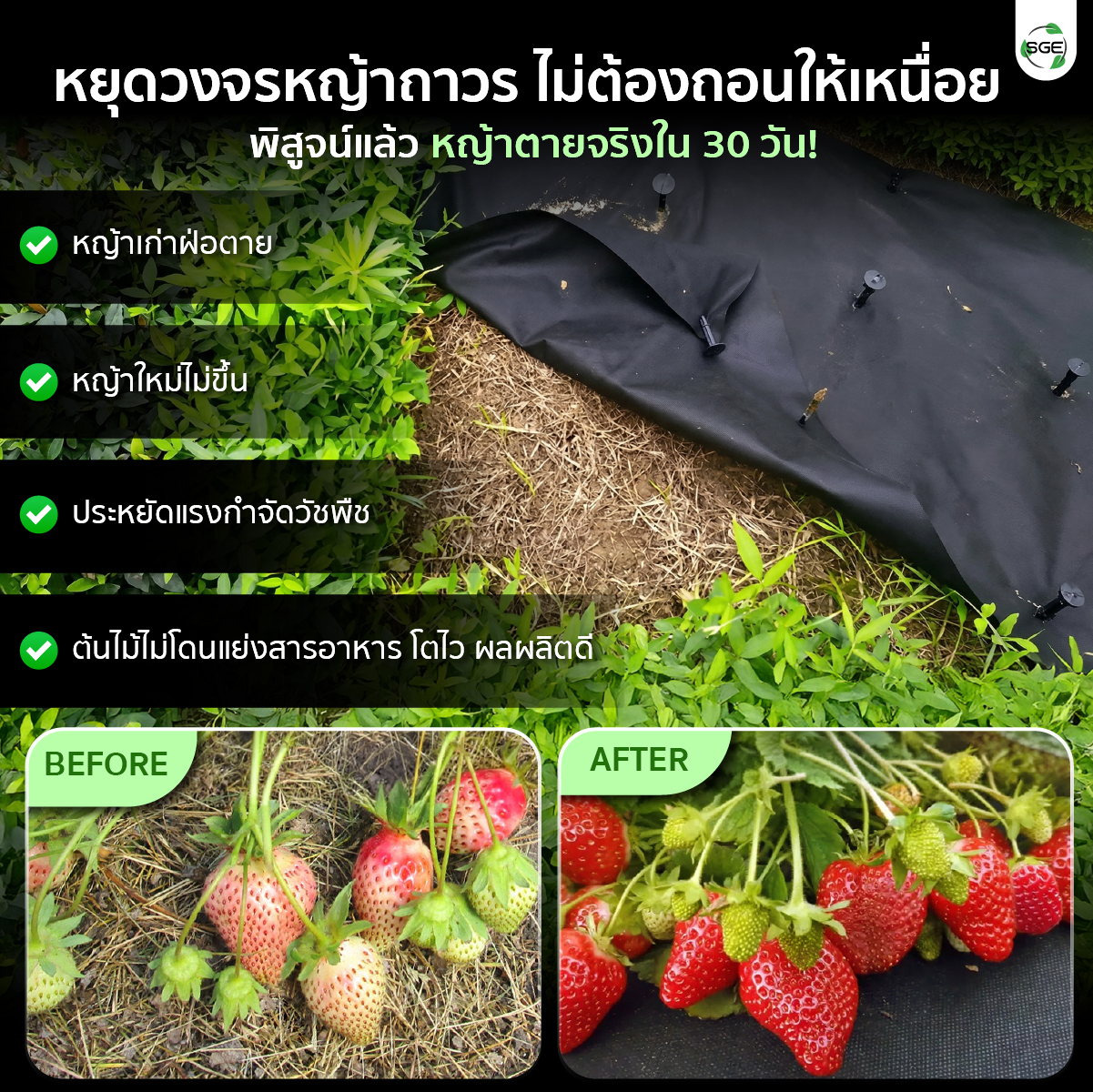 คุณสมบัติ ผ้าคลุมดินใยสังเคราะห์ SGE