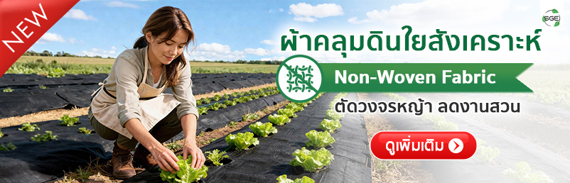 ผ้าคลุมดิน ผ้าคลุมวัชพืช วัสดุแผ่นใยสังเคราะห์ SGE