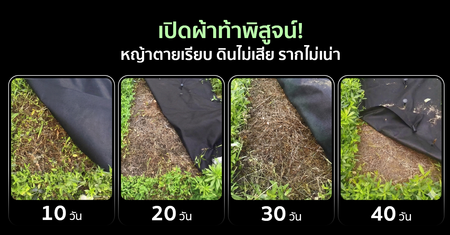 ช่วงระยะเวลาเมื่อใช้งาน ผ้าคลุมดิน SGE