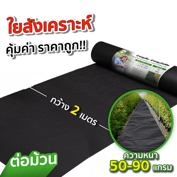 สแลนเขียว-SGE