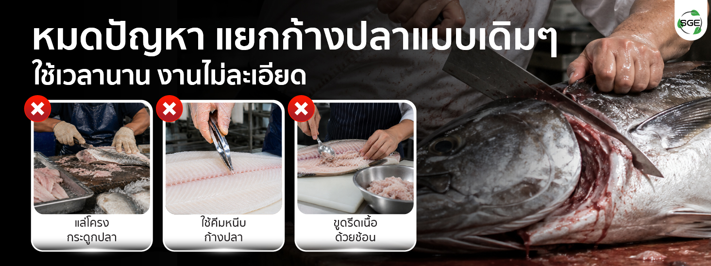 เครื่องแยกก้างปลา อุตสาหกรรม แยกก้าง-รีดเนื้อปลาอัตโนมัติ เครื่องแยกก้างปลา อุตสาหกรรม แยกก้าง-รีดเนื้อปลาอัตโนมัติ