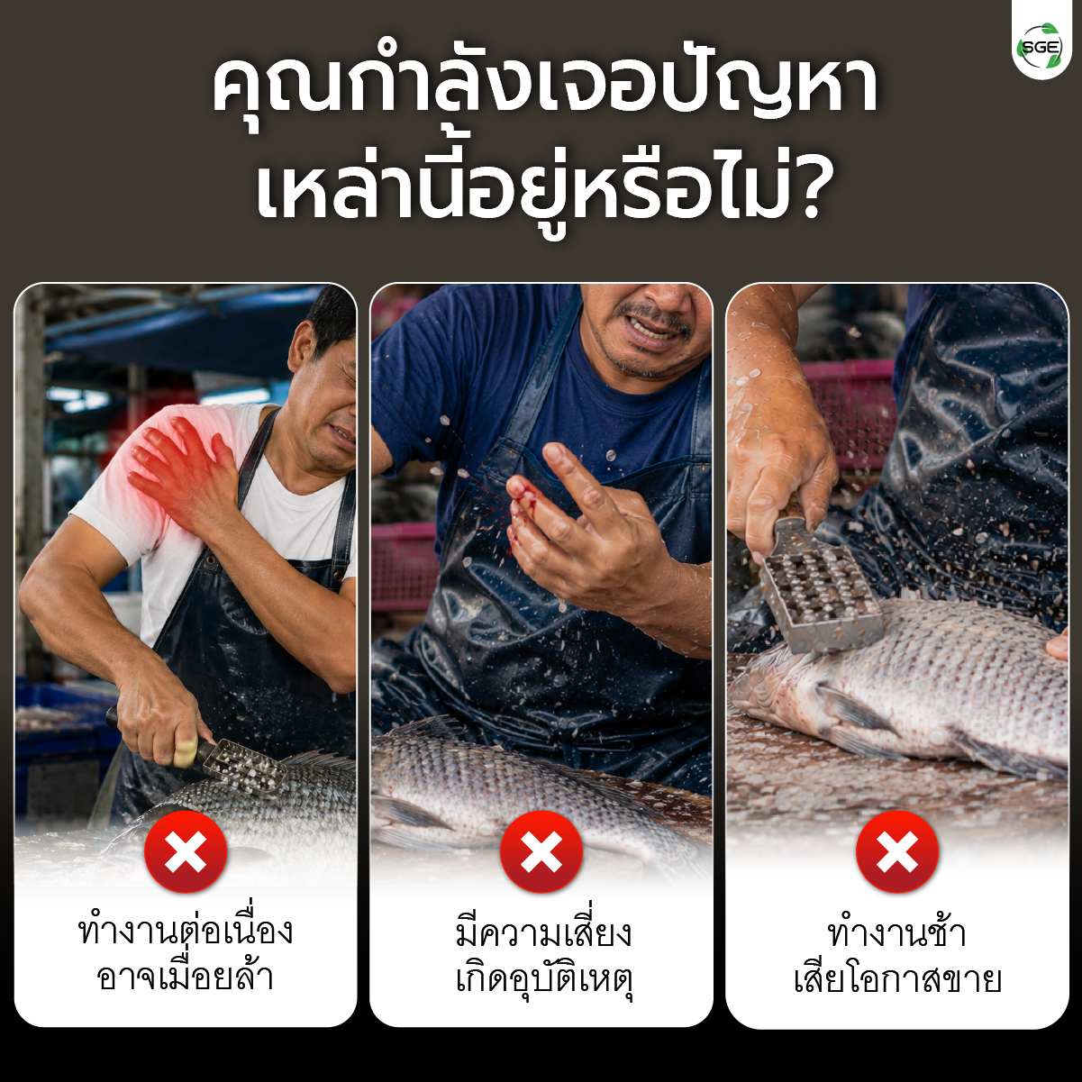 เครื่องขอดเกล็ดปลา SGE