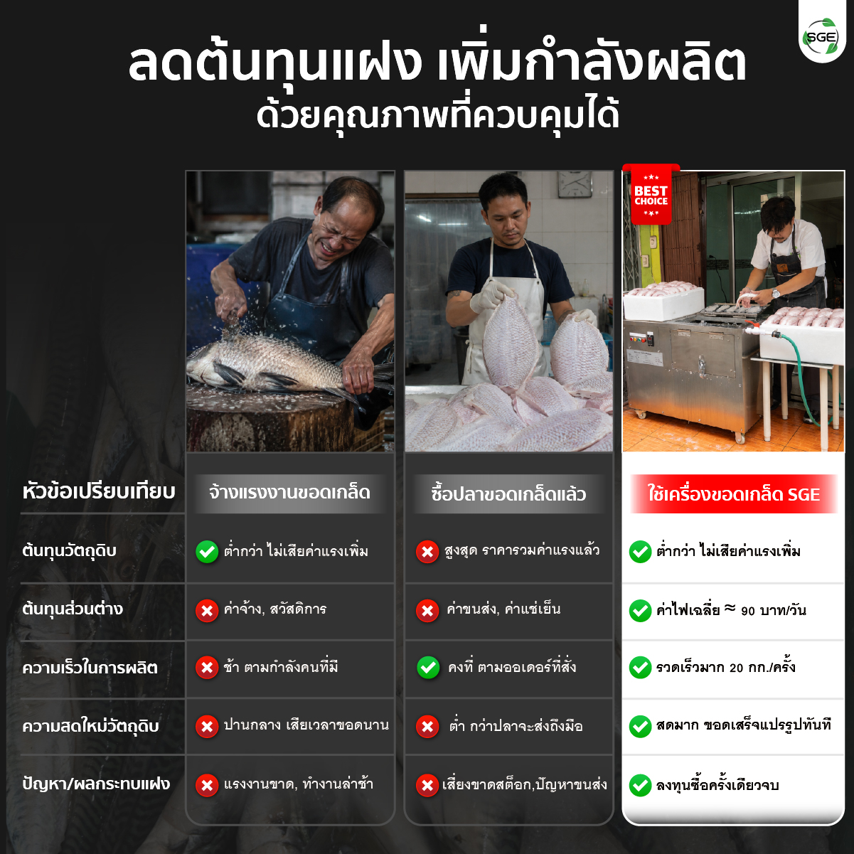 เครื่องขอดเกล็ดปลา SGE