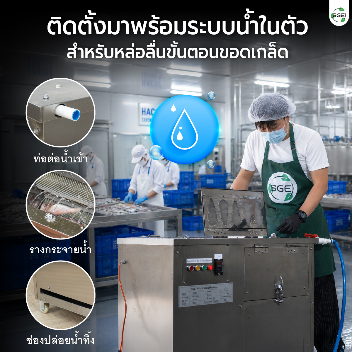 เครื่องขอดเกล็ดปลา SGE