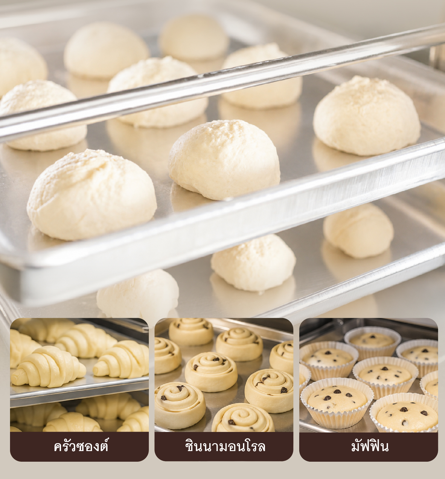 Feture-PF06-05 ตู้พรูฟแป้ง ตู้หมักแป้ง 6 ถาด รุ่น Standard (30-60°C) คุ้มค่า ประหยัดเวลา แป้งขึ้นรูปไว