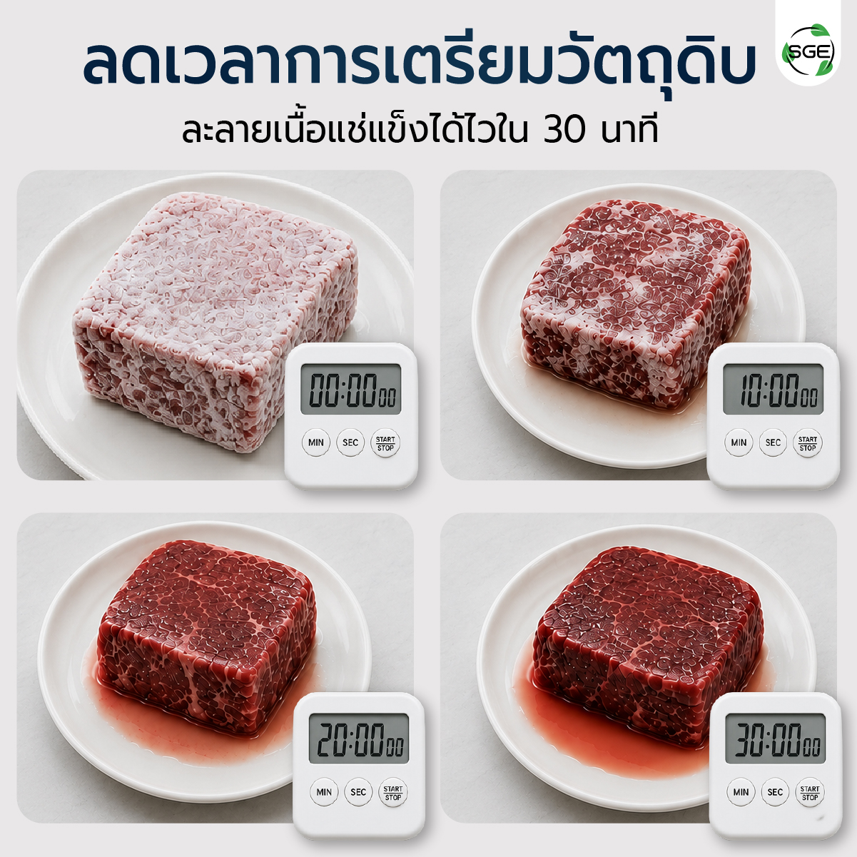 Feture-Thawing-Machine-MB-02-100