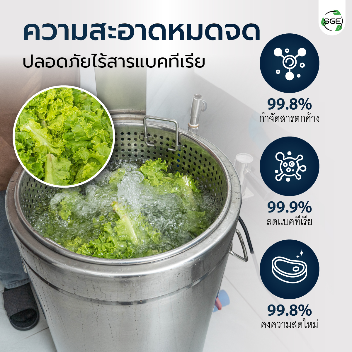 Feture-Thawing-Machine-MB-06-100