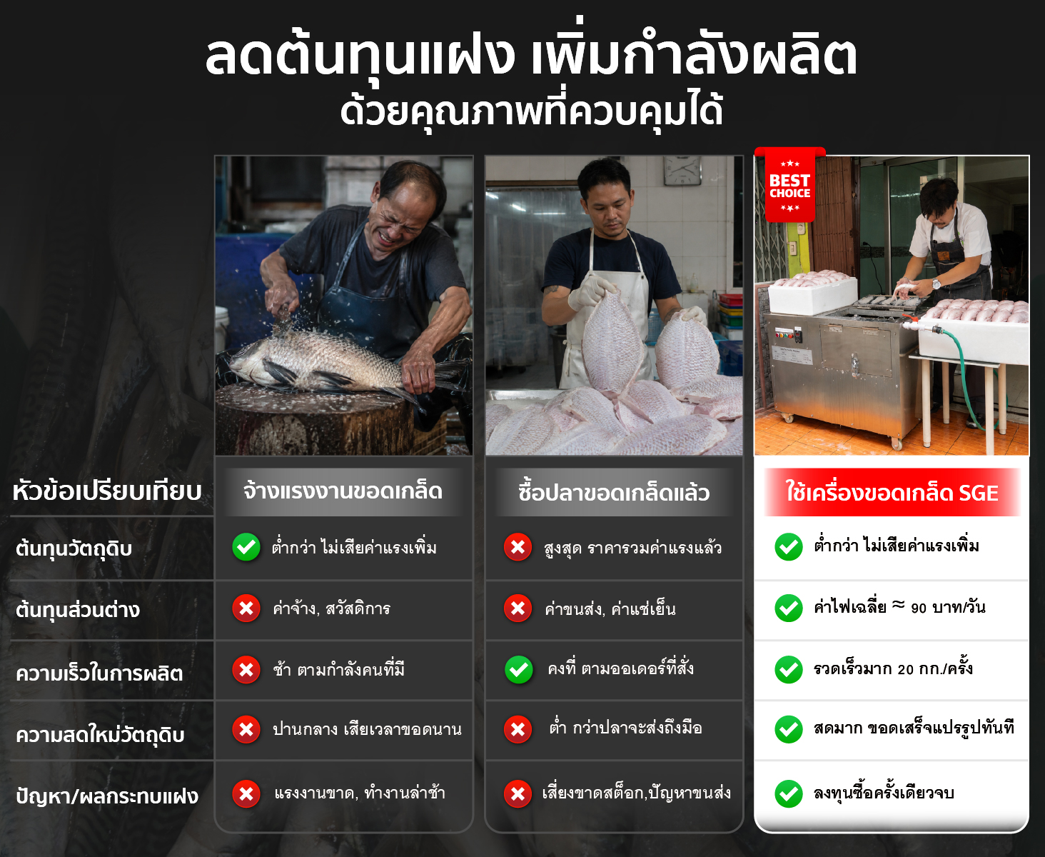 เครื่องขอดเกล็ดปลา อุตสาหกรรม