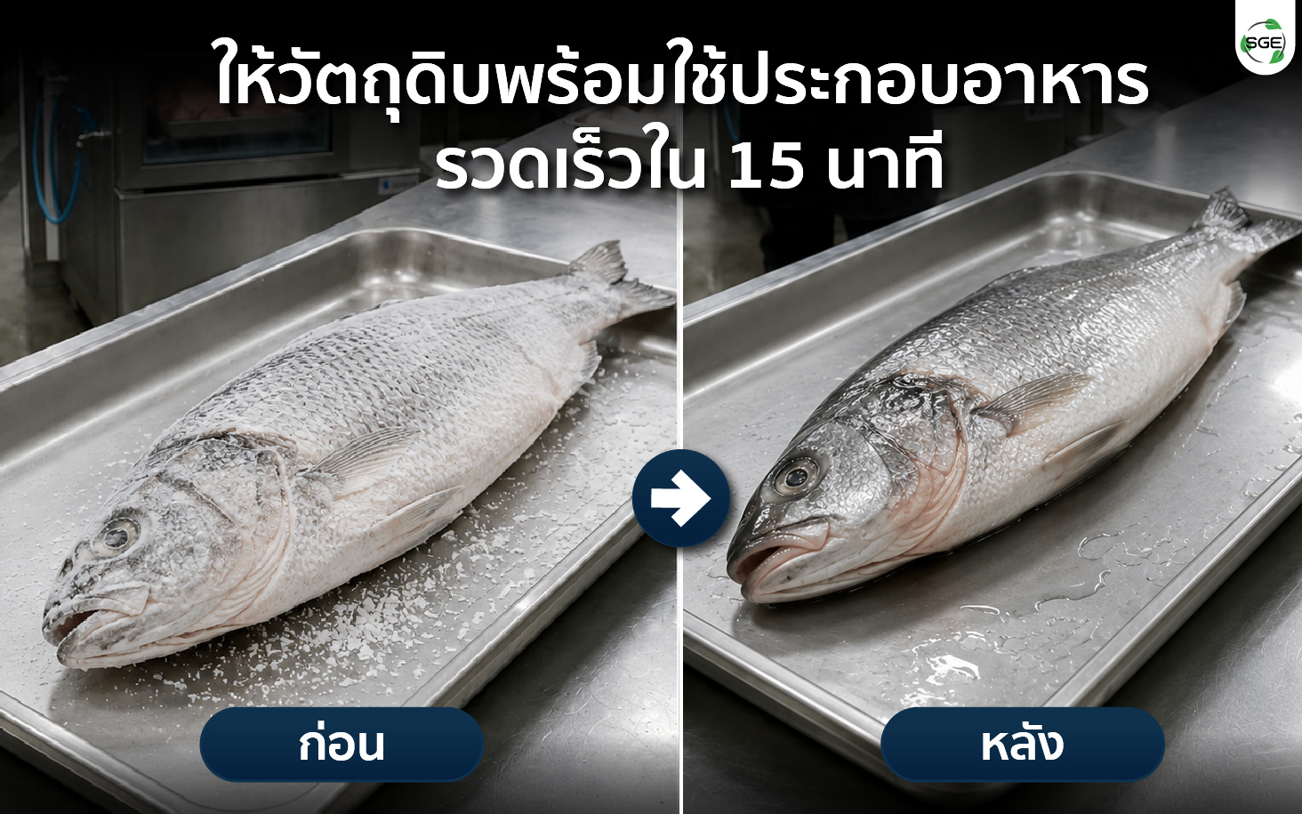 Feture-compare-Thawing Machine-100 Feture-compare-Thawing Machine-100