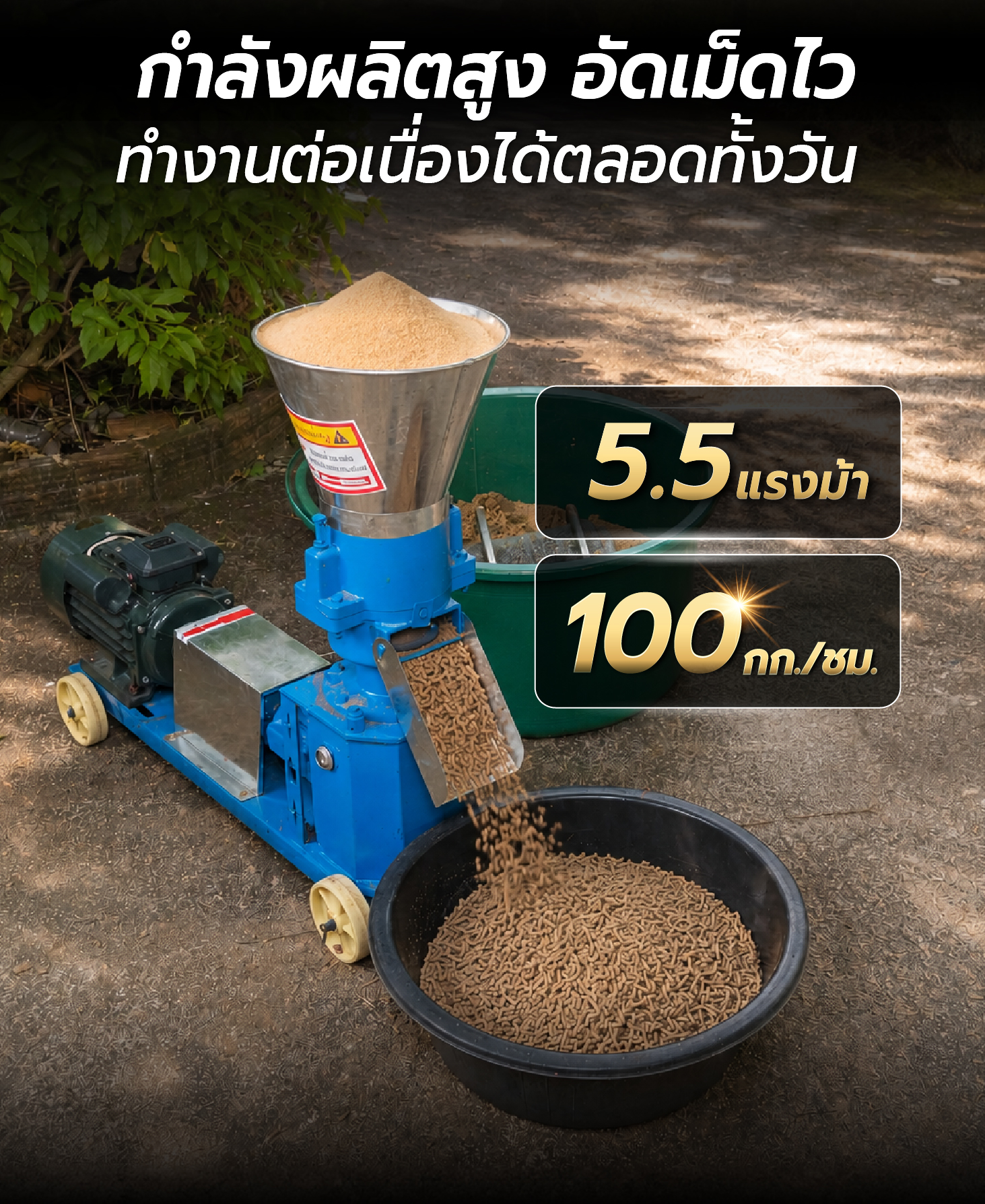 Feture-long-AFP80-04-slove Feture-long-AFP80-04-slove