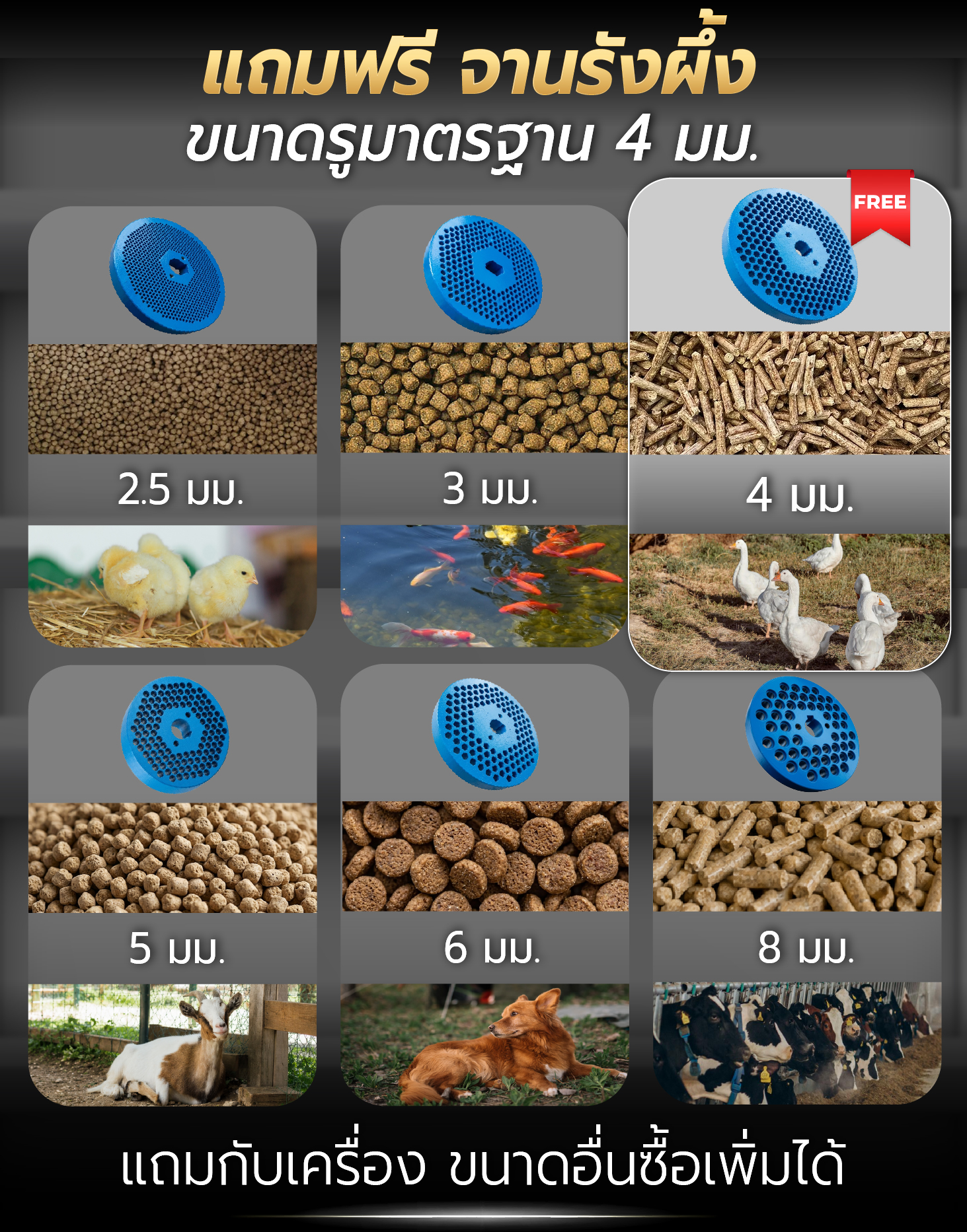 แถมฟรี ฐานรังผึ้ง ขนาดรูมาตรฐาน 4 มม. แถมฟรี ฐานรังผึ้ง ขนาดรูมาตรฐาน 4 มม.