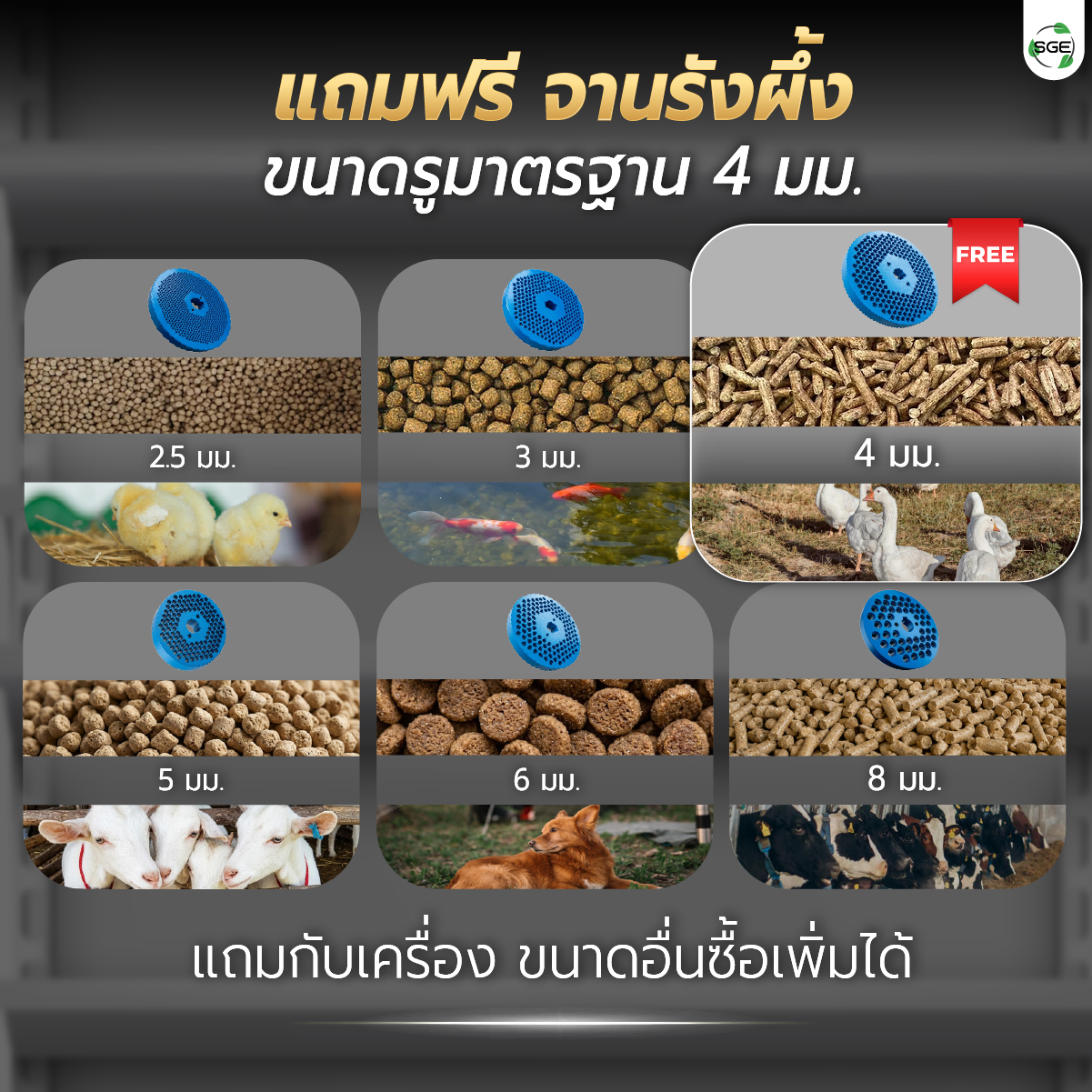 Feture-mobile-AFP80-05