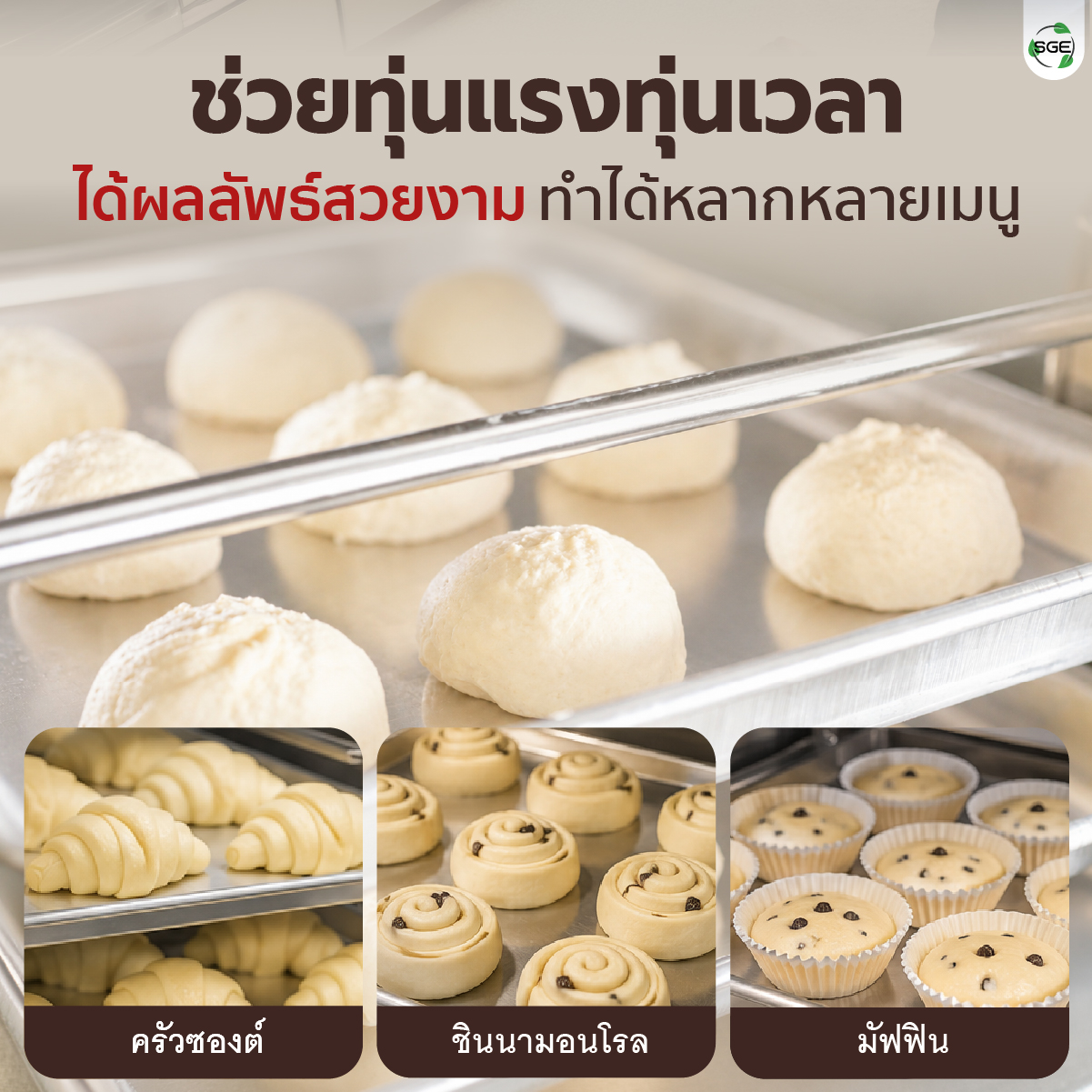 ตู้พรูฟแป้ง ตู้หมักแป้ง 6 ถาด รุ่น Standard (30-60°C) คุ้มค่า ประหยัดเวลา แป้งขึ้นรูปไว