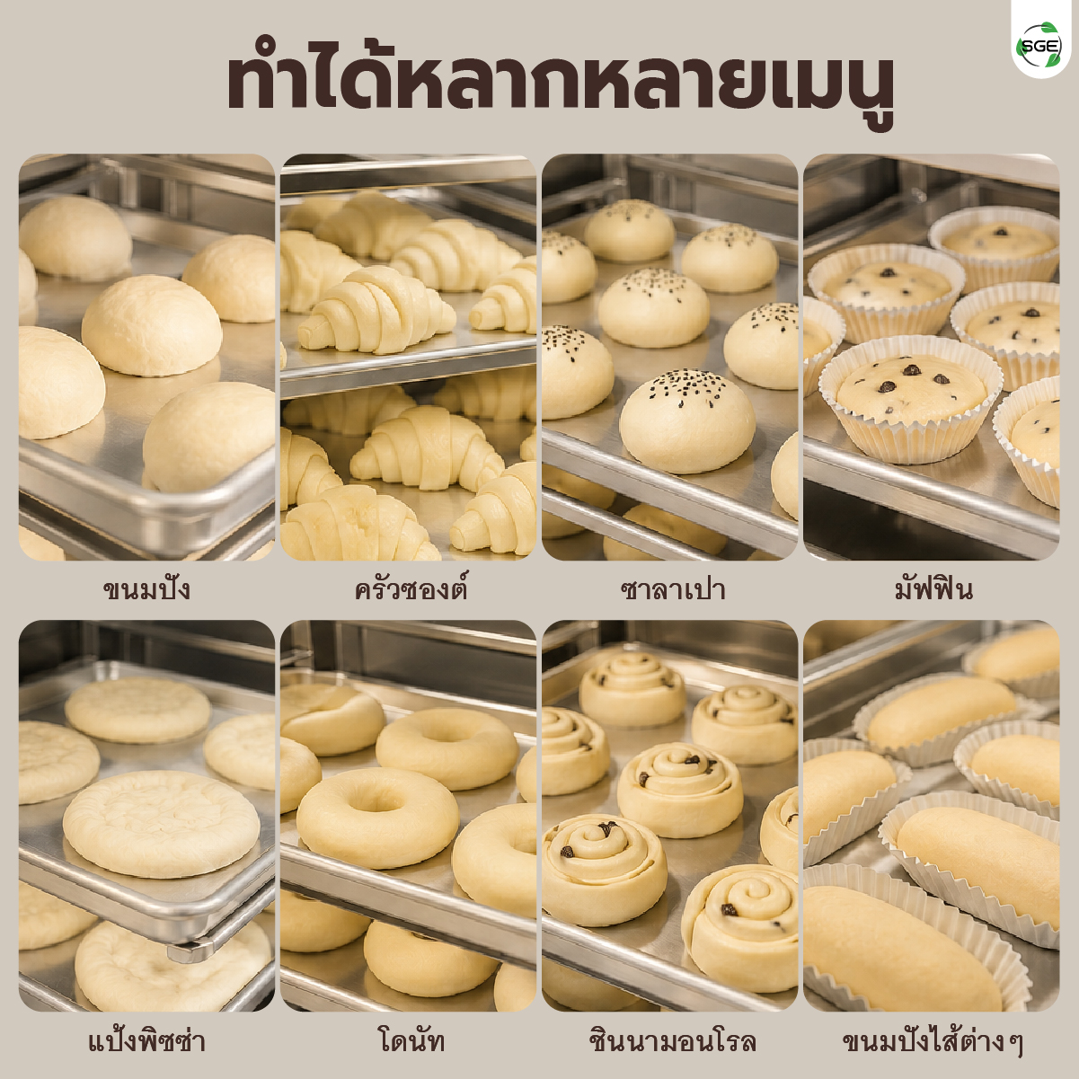 ตู้พรูฟแป้ง ตู้หมักแป้ง 6 ถาด รุ่น Standard (30-60°C) คุ้มค่า ประหยัดเวลา แป้งขึ้นรูปไว