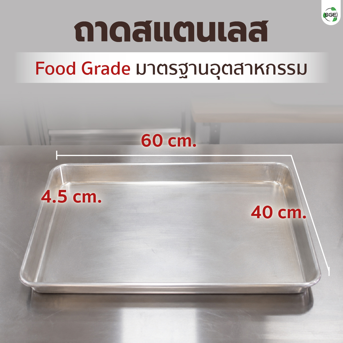 ตู้พรูฟแป้ง ตู้หมักแป้ง 6 ถาด รุ่น Standard (30-60°C) คุ้มค่า ประหยัดเวลา แป้งขึ้นรูปไว