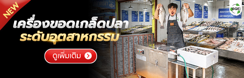 เครื่องขอดเกล็ดปลา อุตสาหกรรม SGE