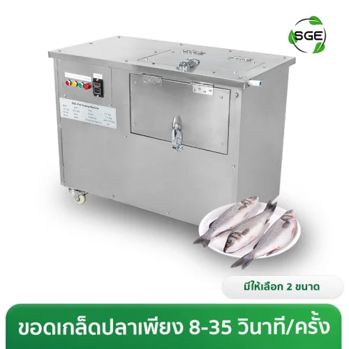 เครื่องขอดเกล็ดปลา อุตสาหกรรม กำลังผลิตสูง 20 กก./ครั้ง ระบบแปรงขัด 360 องศา พร้อมระบบน้ำหล่อเลี้ยง