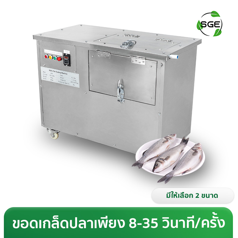 เครื่องขอดเกล็ดปลา อุตสาหกรรม กำลังผลิตสูง 20 กก./ครั้ง