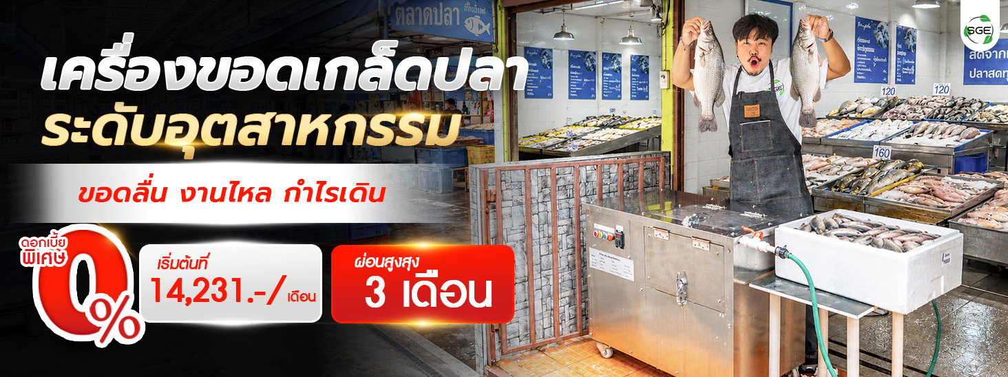 เครื่องขอดเกล็ดปลา อุตสาหกรรม กำลังผลิตสูง 20 กก./ครั้ง