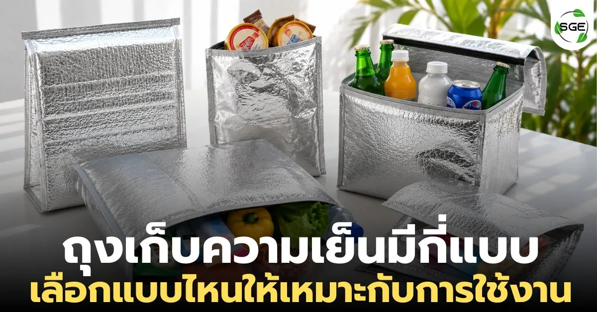 ถุงเก็บความเย็นมีกี่แบบ? เปรียบเทียบความต่าง พร้อมวิธีเลือกให้เหมาะกับการใช้งาน ถุงเก็บความเย็นมีกี่แบบ? เปรียบเทียบความต่าง พร้อมวิธีเลือกให้เหมาะกับการใช้งาน