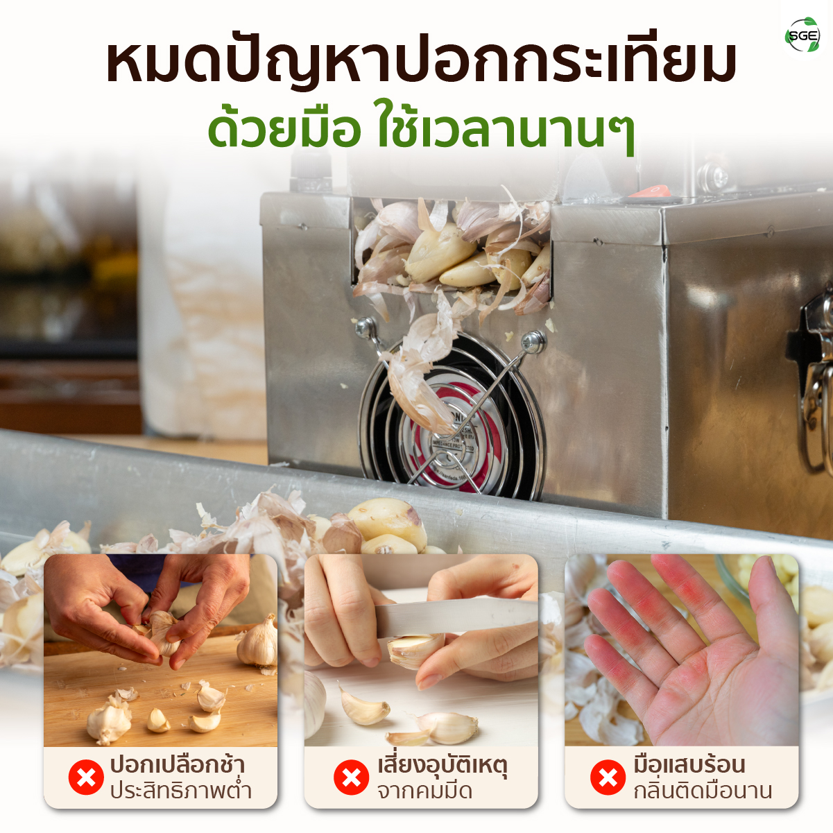 เครื่องปอกกระเทียม เครื่องแกะกระเทียม ปอกกลีบกระเทียม กำลังผลิต 25 กก./ชม. สามารถปอกได้ทั้งกระเทียมไทยและจีน SGE